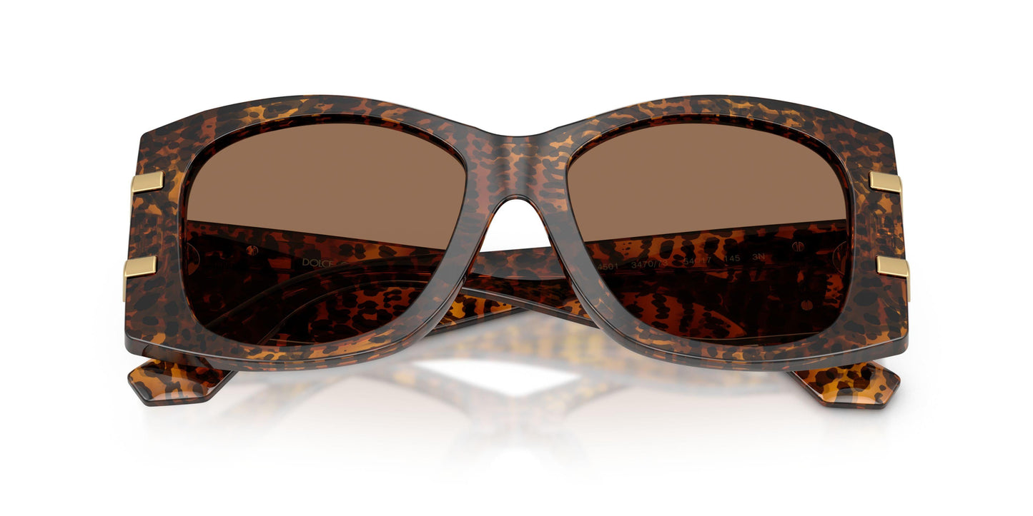 Dolse & Gabana 4501 Sunglasses
