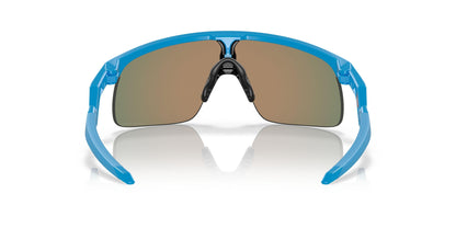 Oakley Resistor 9010 Sunglasses