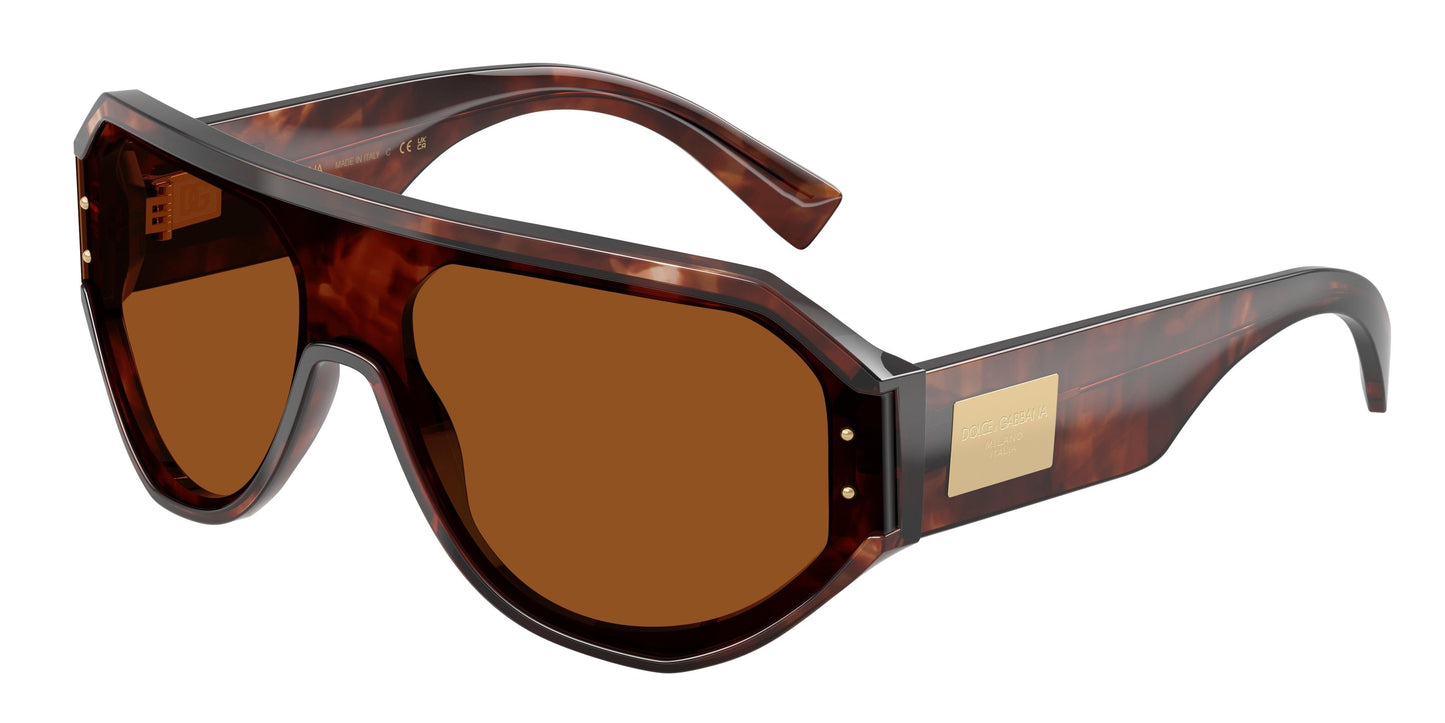 Dolse & Gabana  4481F Sunglasses