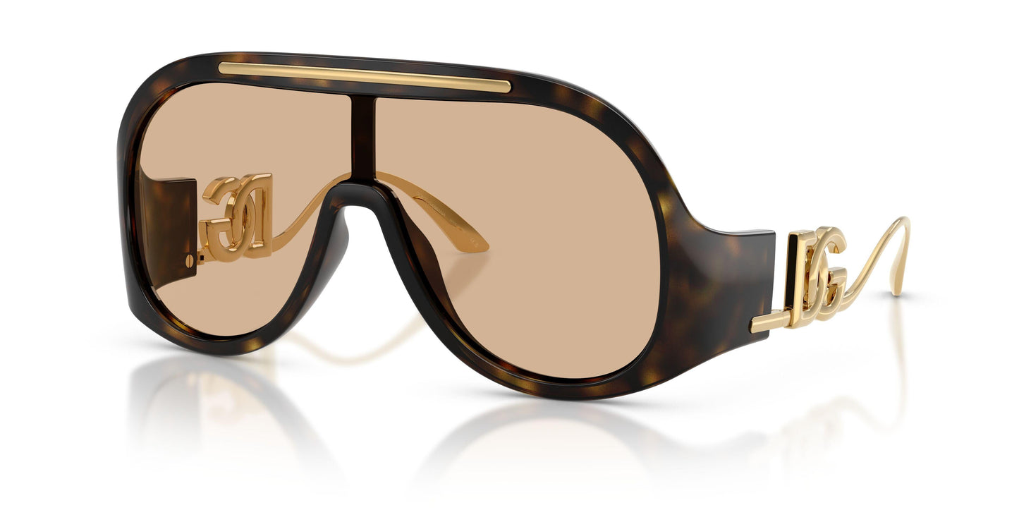 Dolse & Gabana  6202 Sunglasses