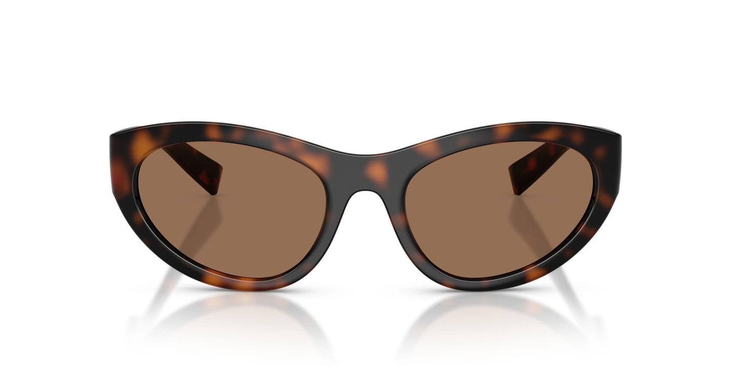 Dolse & Gabana  6207 Sunglasses