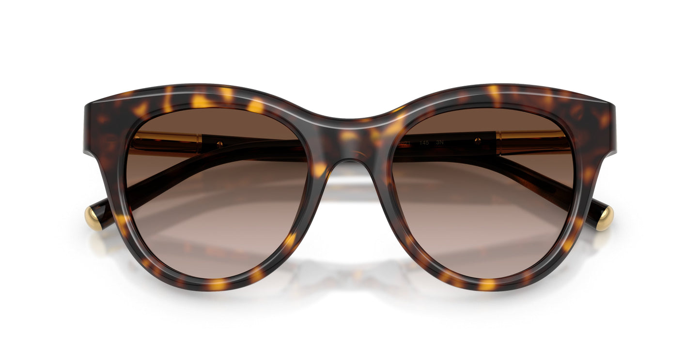 Dolse & Gabana  4518 Sunglasses