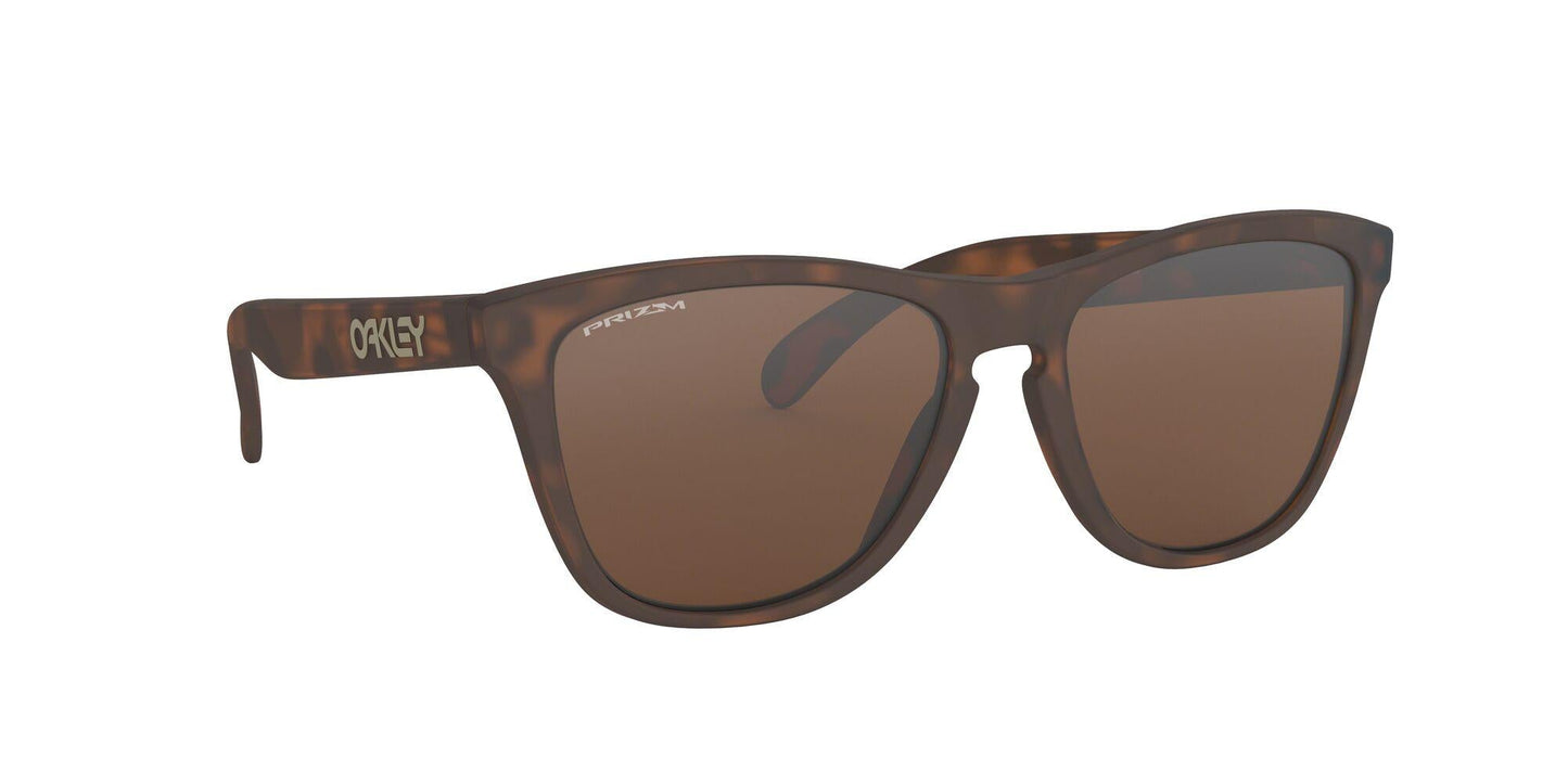 Oakley Frogskins 9013 Sunglasses