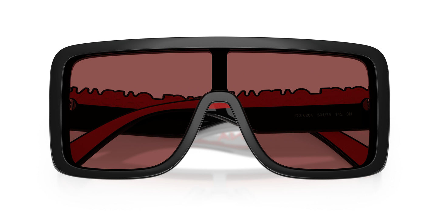 Dolse & Gabana  6204 Sunglasses