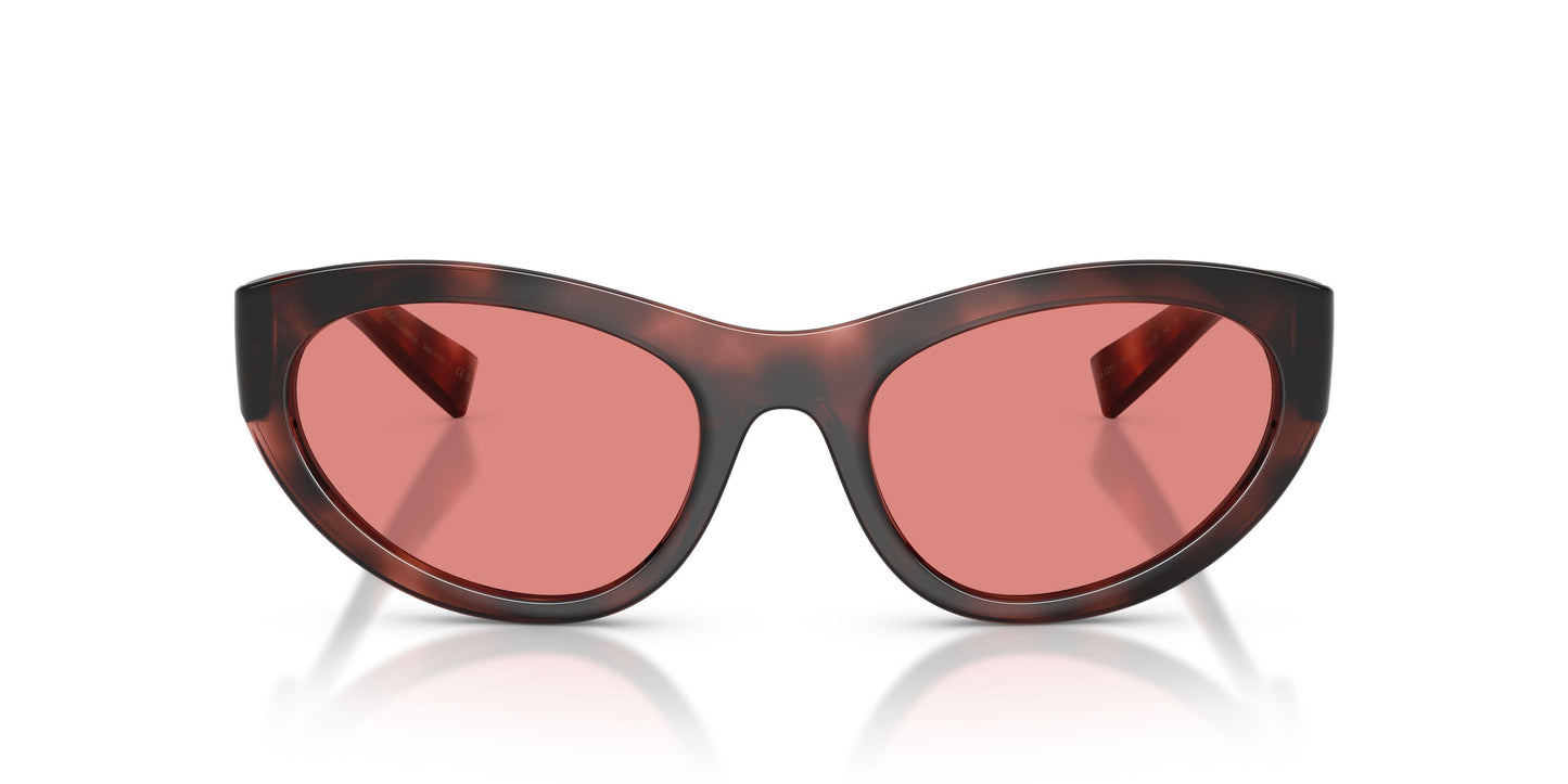 Dolse & Gabana  6207 Sunglasses