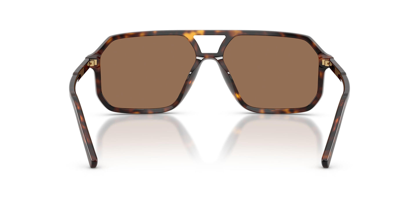 Dolse & Gabana  4541 Sunglasses