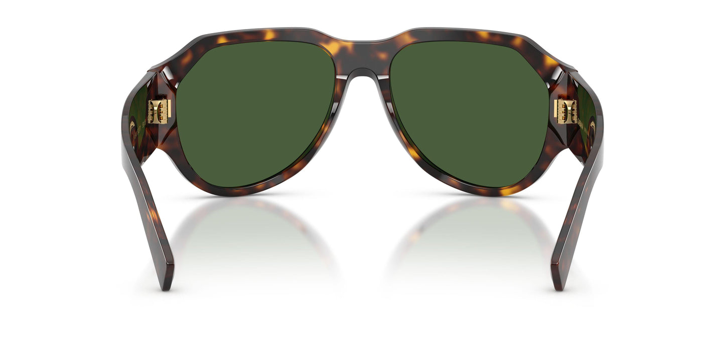 Dolse & Gabana  4504 Sunglasses