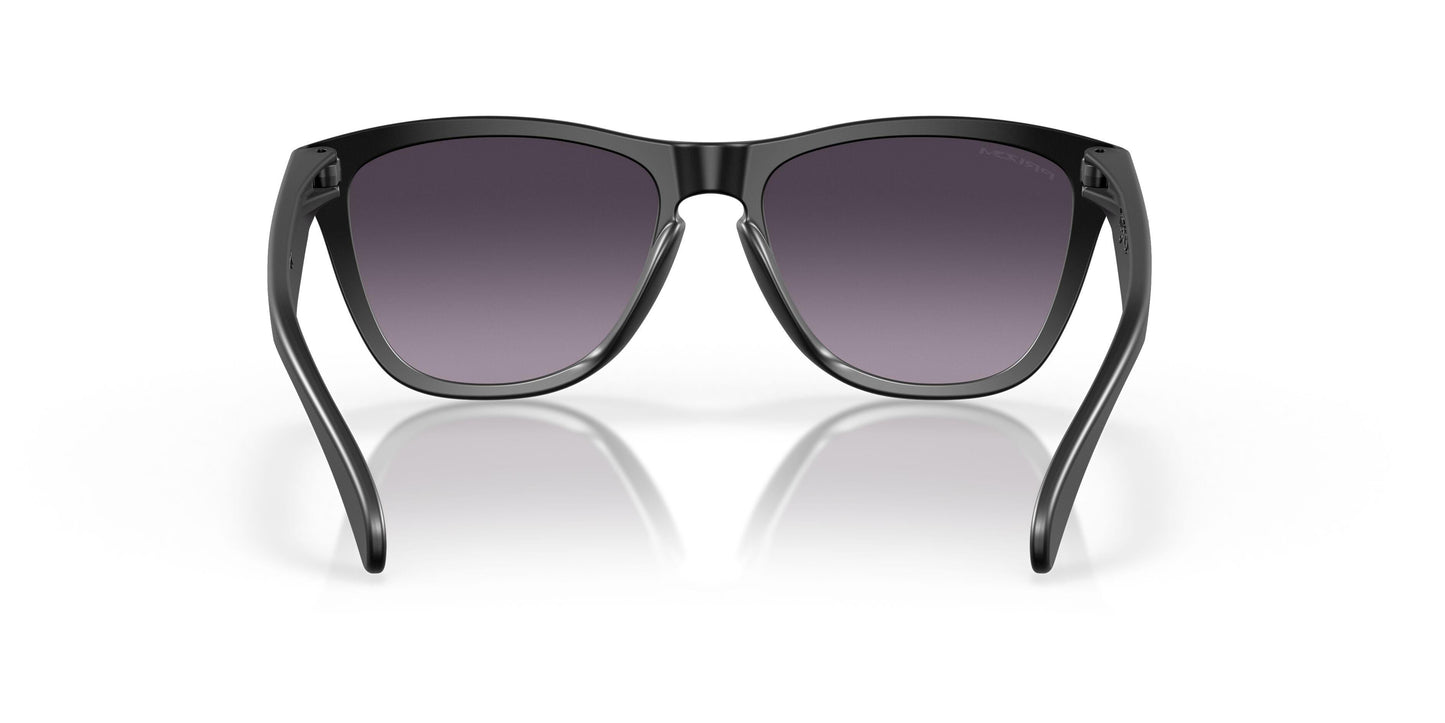 Oakley Frogskins 9245 Sunglasses