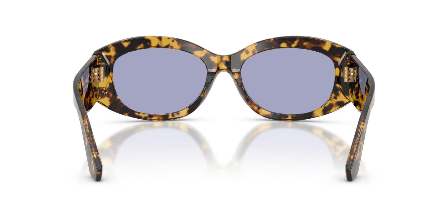 Dolse & Gabana  4502 Sunglasses