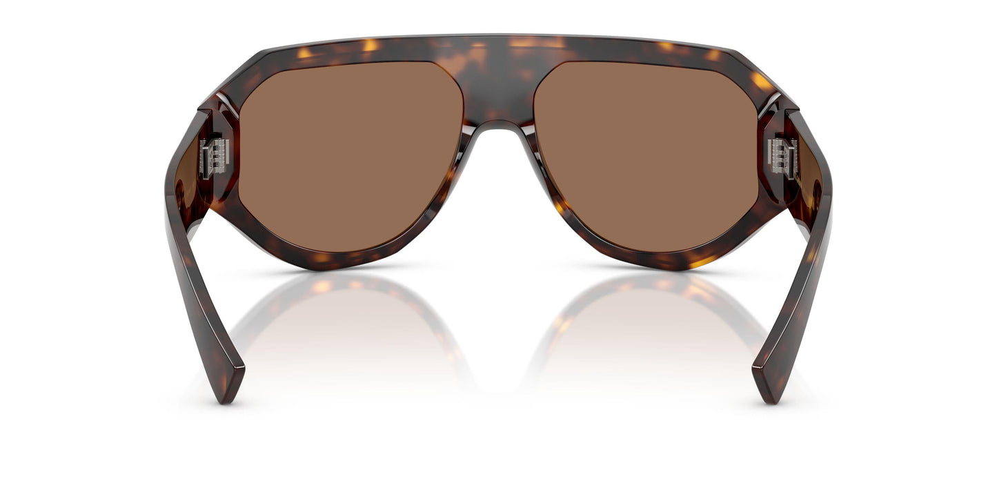 Dolse & Gabana  4481F Sunglasses
