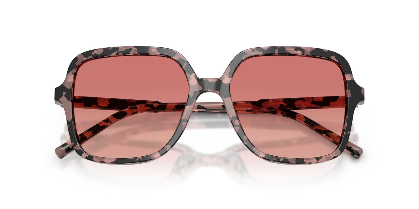 Dolse & Gabana  4539 Sunglasses