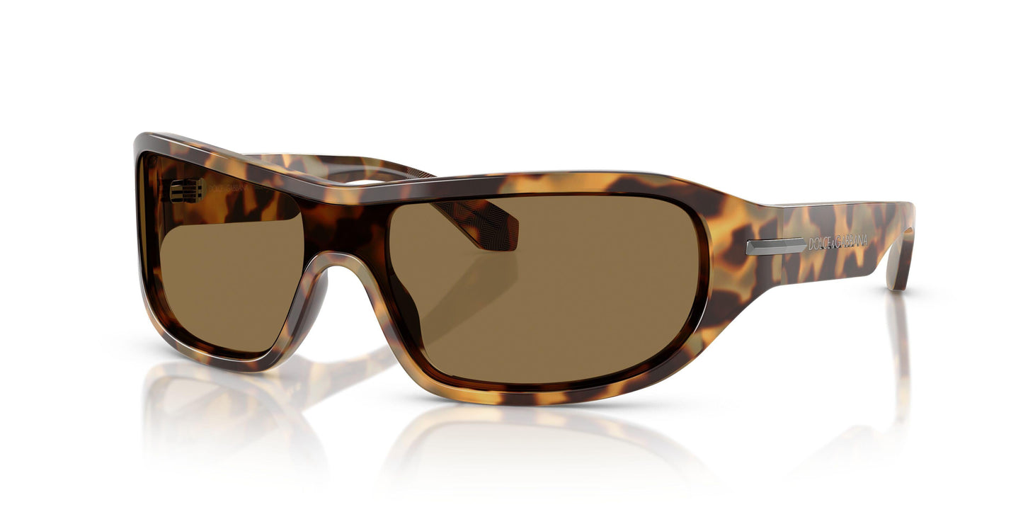 Dolse & Gabana  4486 Sunglasses