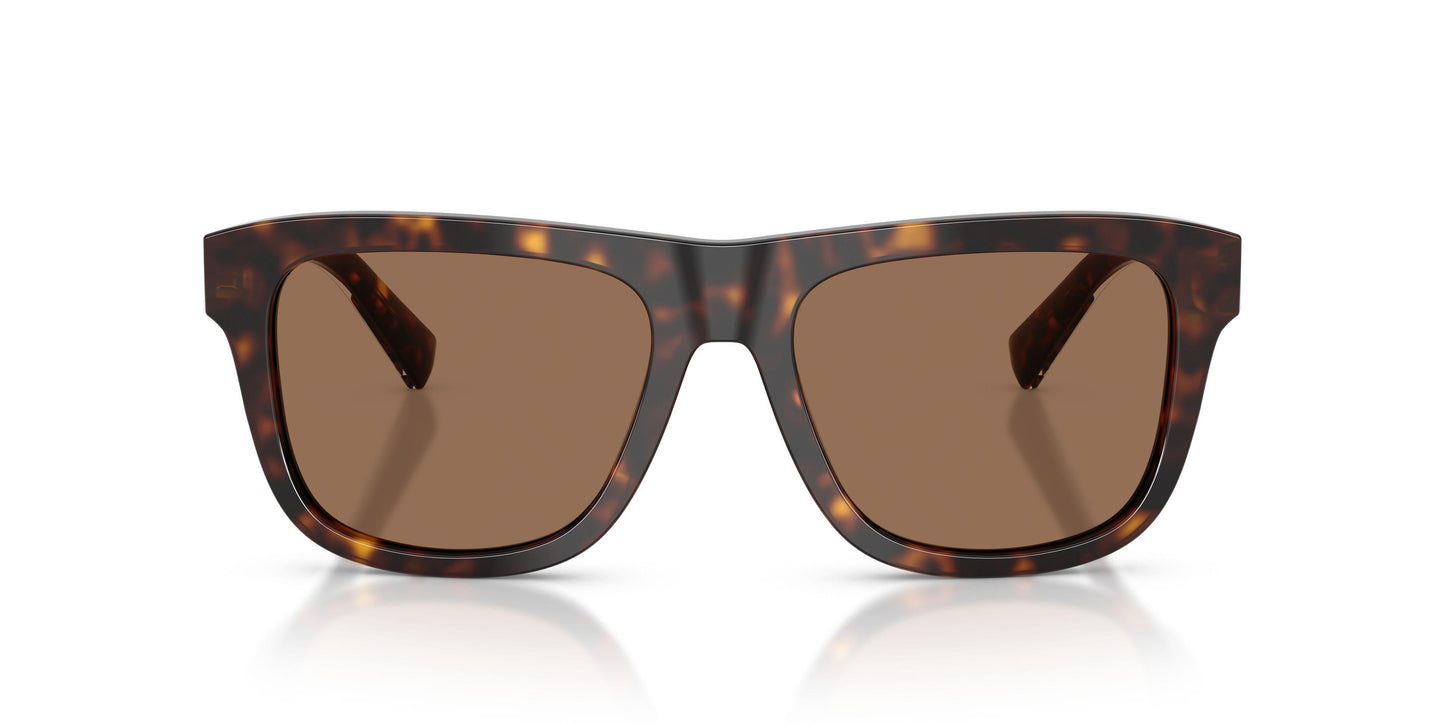 Dolse & Gabana  4545 Sunglasses