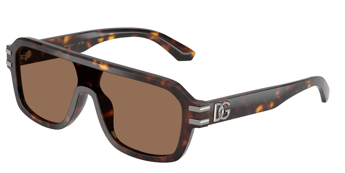 Dolse & Gabana  4507 Sunglasses