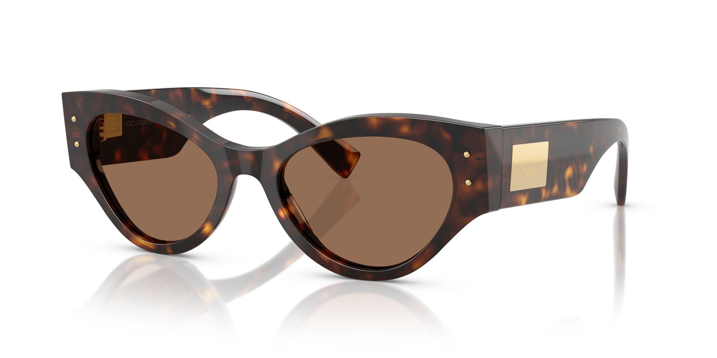 Dolse & Gabana  4480 Sunglasses