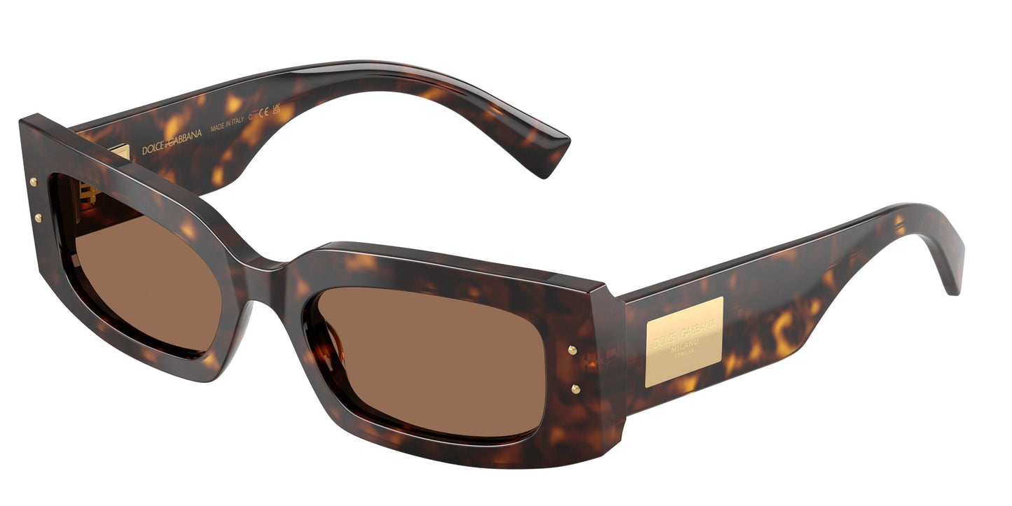 Dolse & Gabana  4479 Sunglasses