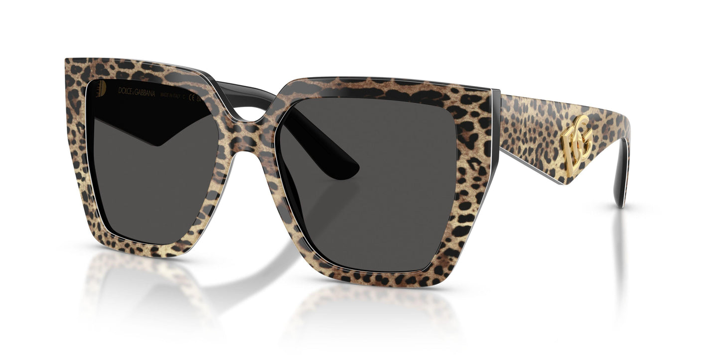 Dolse & Gabana  4438 Sunglasses