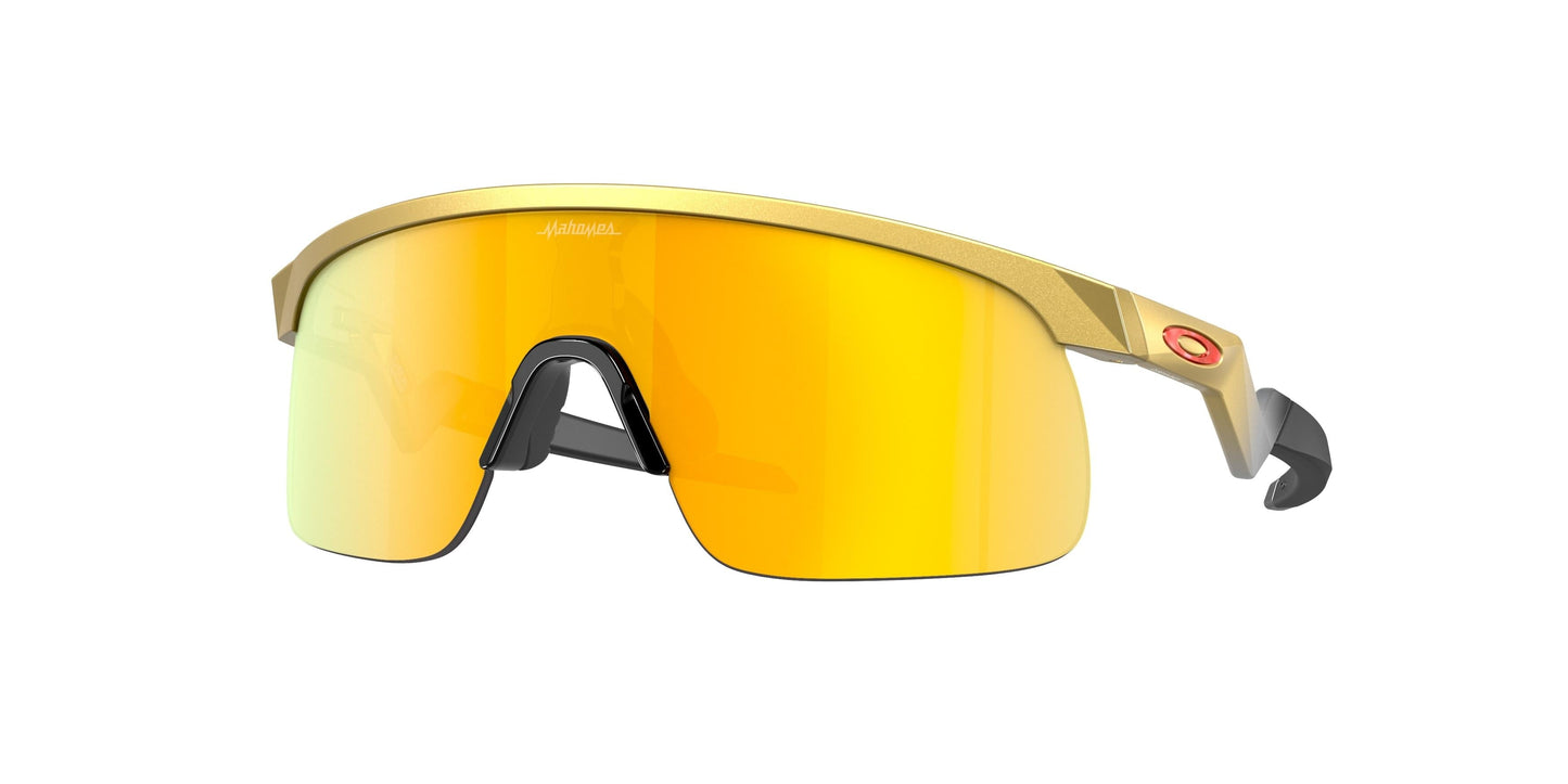 Oakley Resistor 9010 Sunglasses