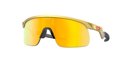 Oakley Resistor 9010 Sunglasses