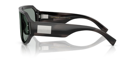 Dolse & Gabana  4481F Sunglasses
