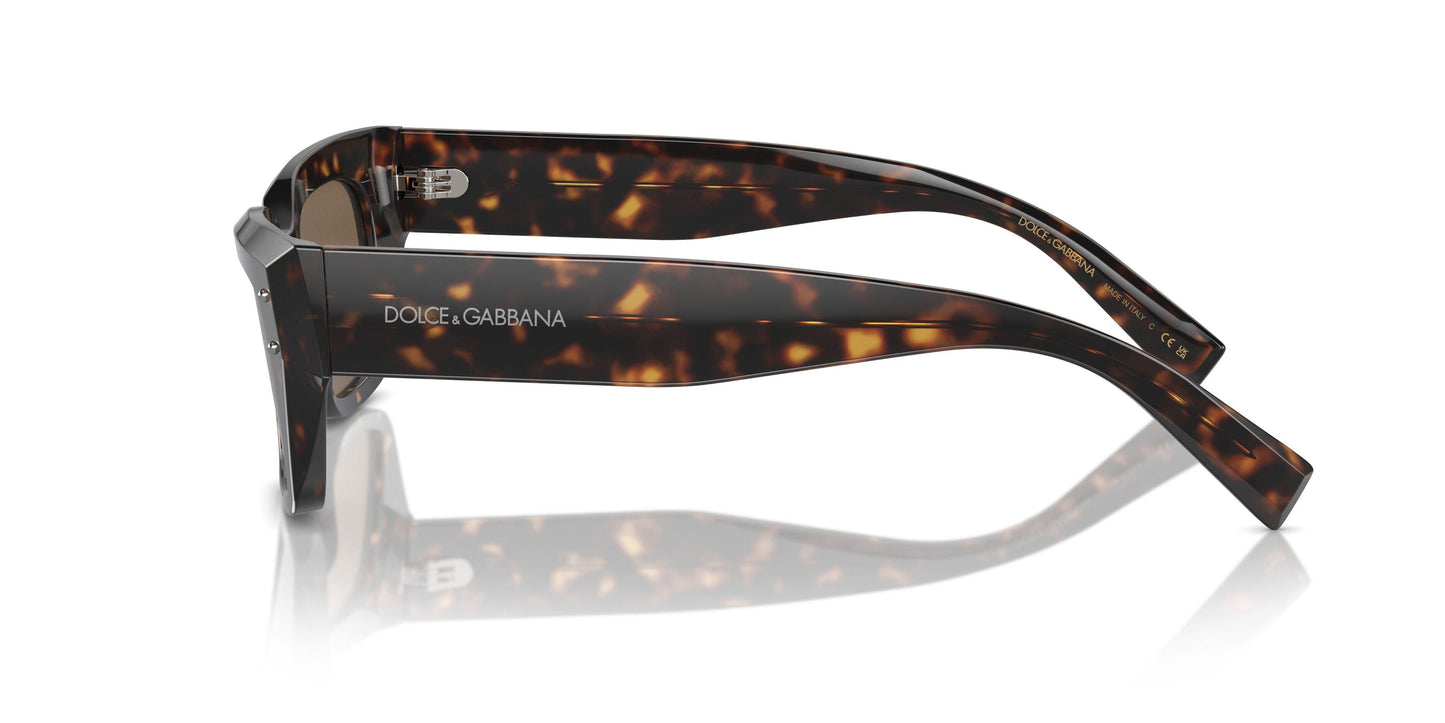 Dolse & Gabana  4462 Sunglasses