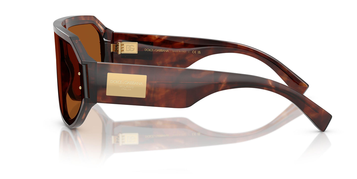 Dolse & Gabana  4481F Sunglasses