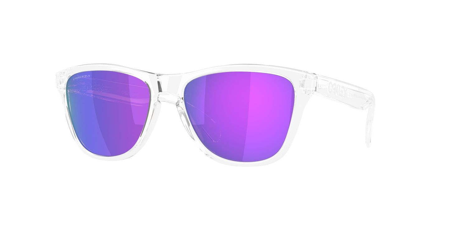 Oakley Frogskins S 9508 Sunglasses