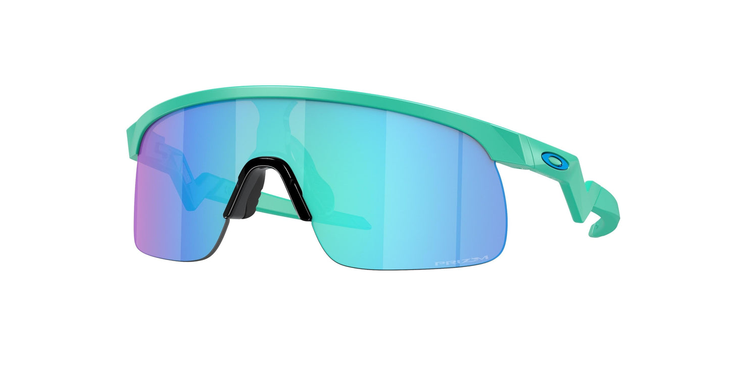 Oakley Resistor 9010 Sunglasses