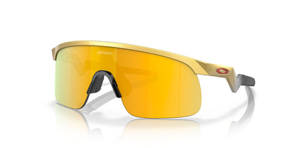 Oakley Resistor 9010 Sunglasses