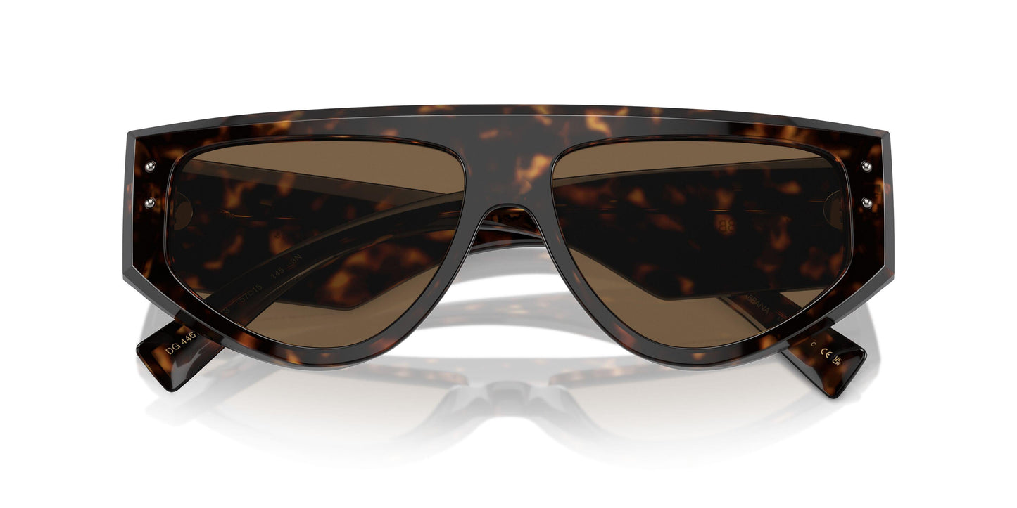 Dolse & Gabana  4461 Sunglasses