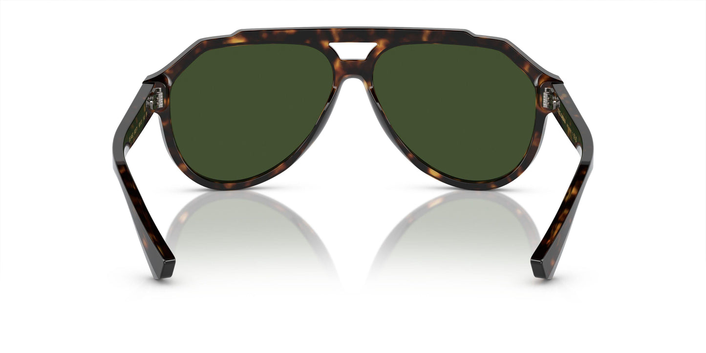 Dolse & Gabana  4452 Sunglasses