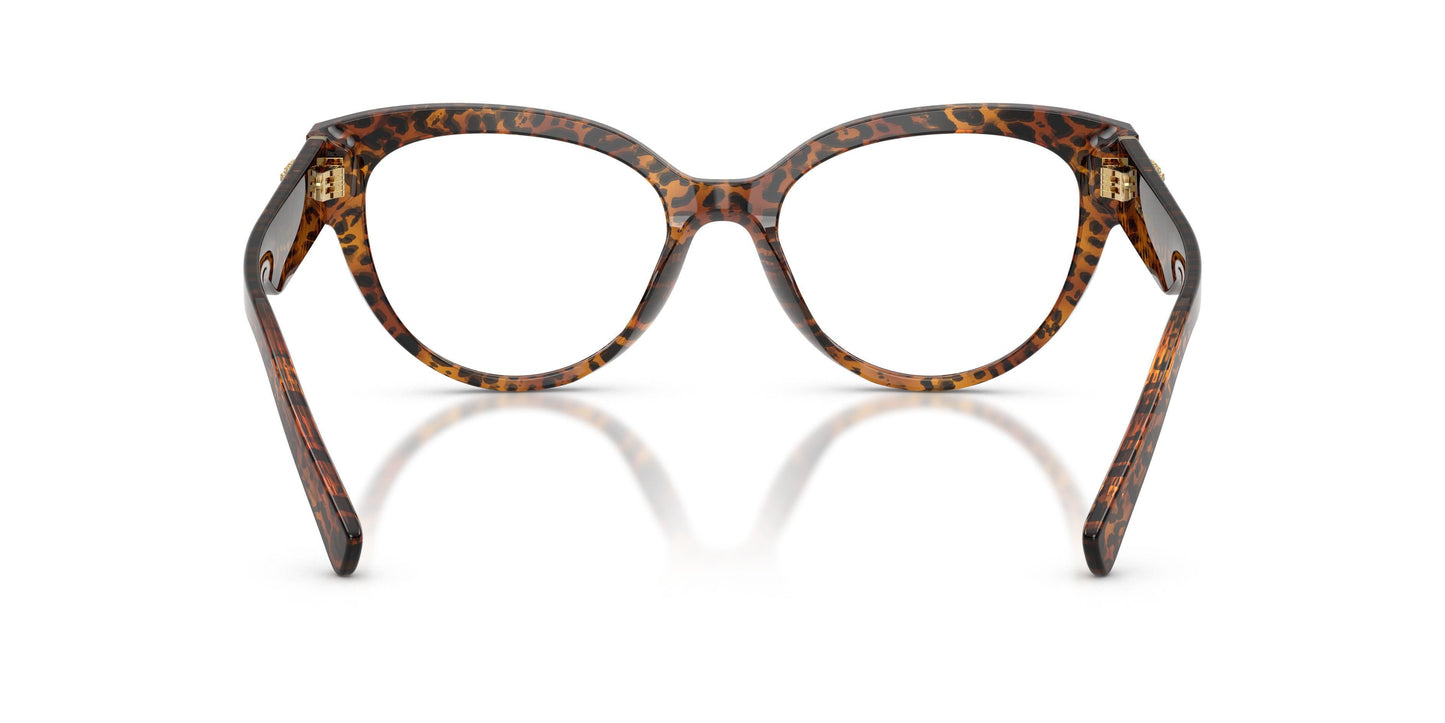 Dolse & Gabana  3440 Eyeglasses