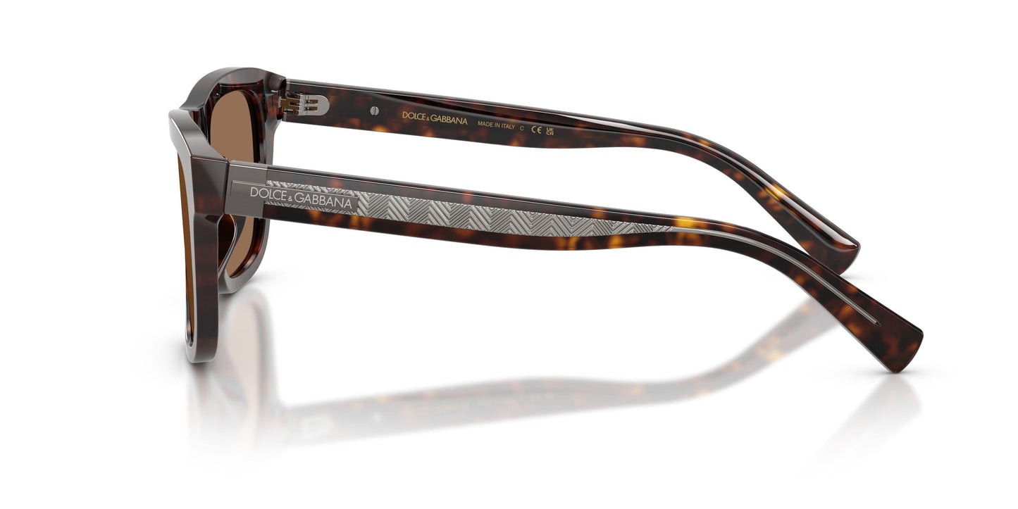 Dolse & Gabana  4545 Sunglasses