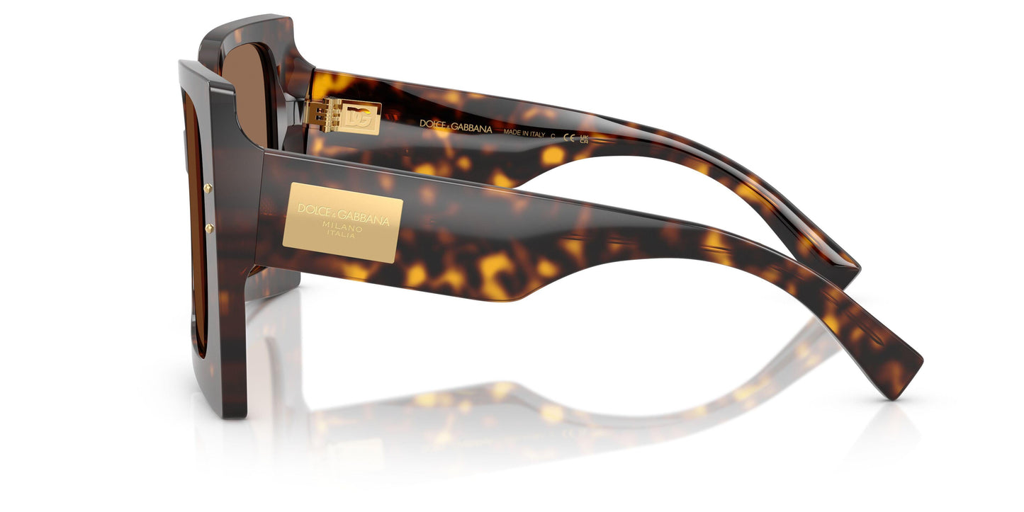 Dolse & Gabana  4490 Sunglasses