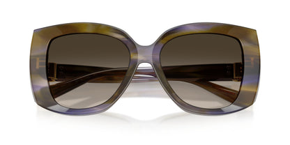 Dolse & Gabana  4495 Sunglasses