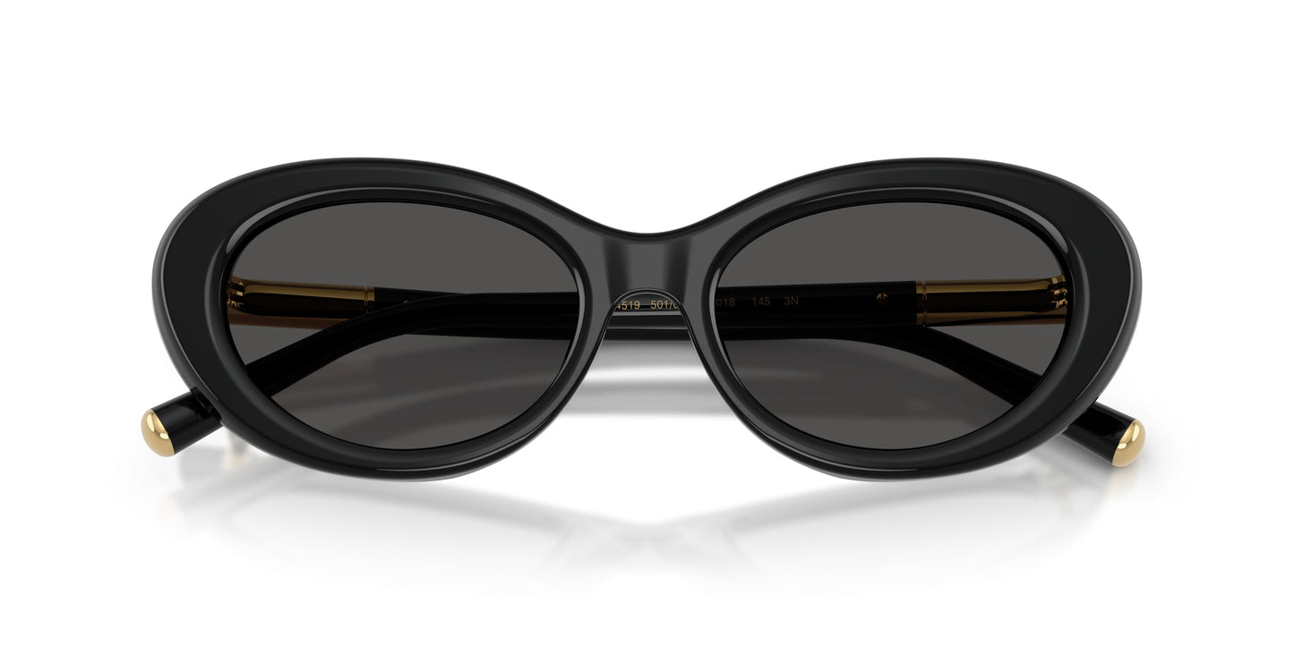 Dolse & Gabana  4519 Sunglasses
