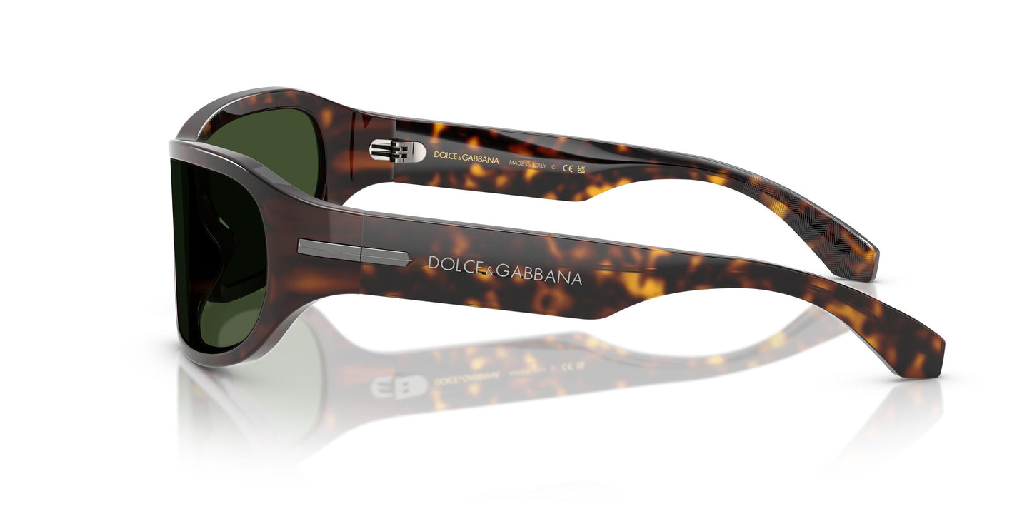 Dolse & Gabana  4486 Sunglasses