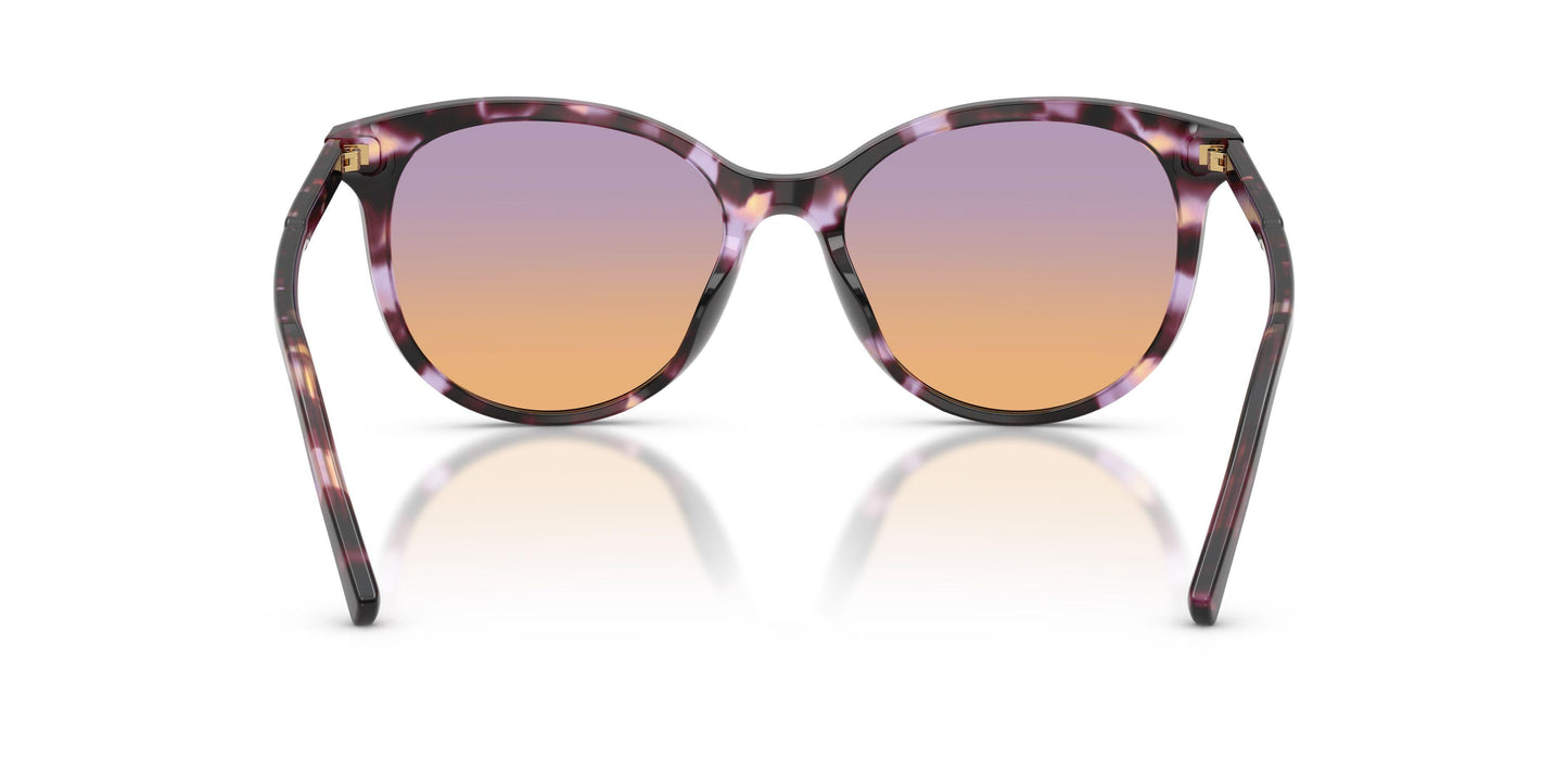 Dolse & Gabana  4540 Sunglasses
