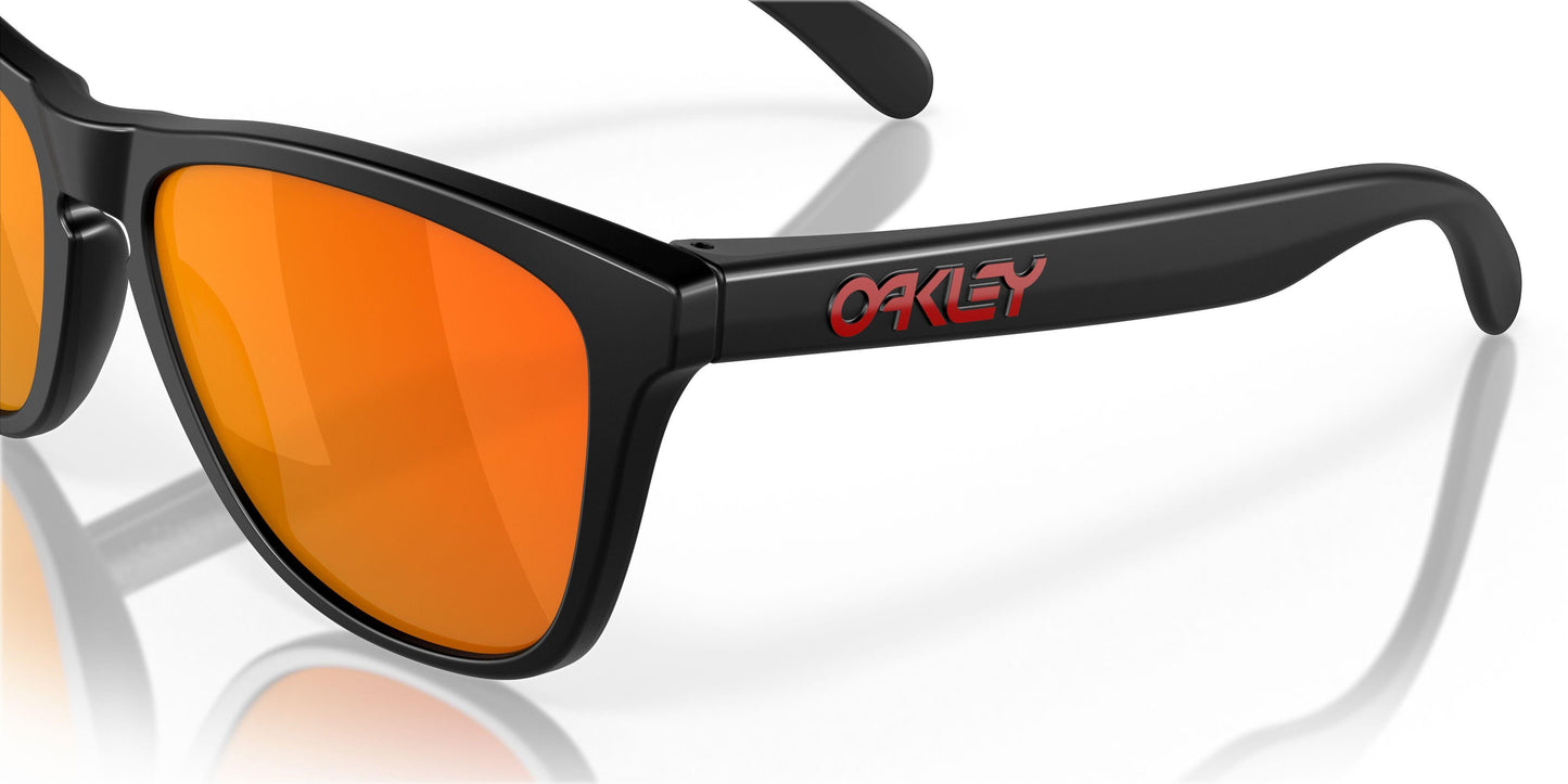 Oakley Frogskins 9245 Sunglasses