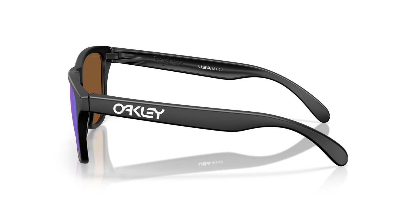 Oakley Frogskins S 9508 Sunglasses