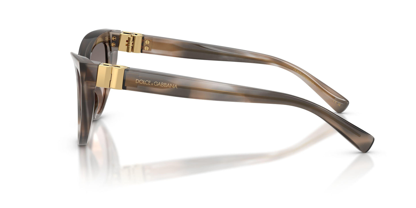 Dolse & Gabana  4497 Sunglasses