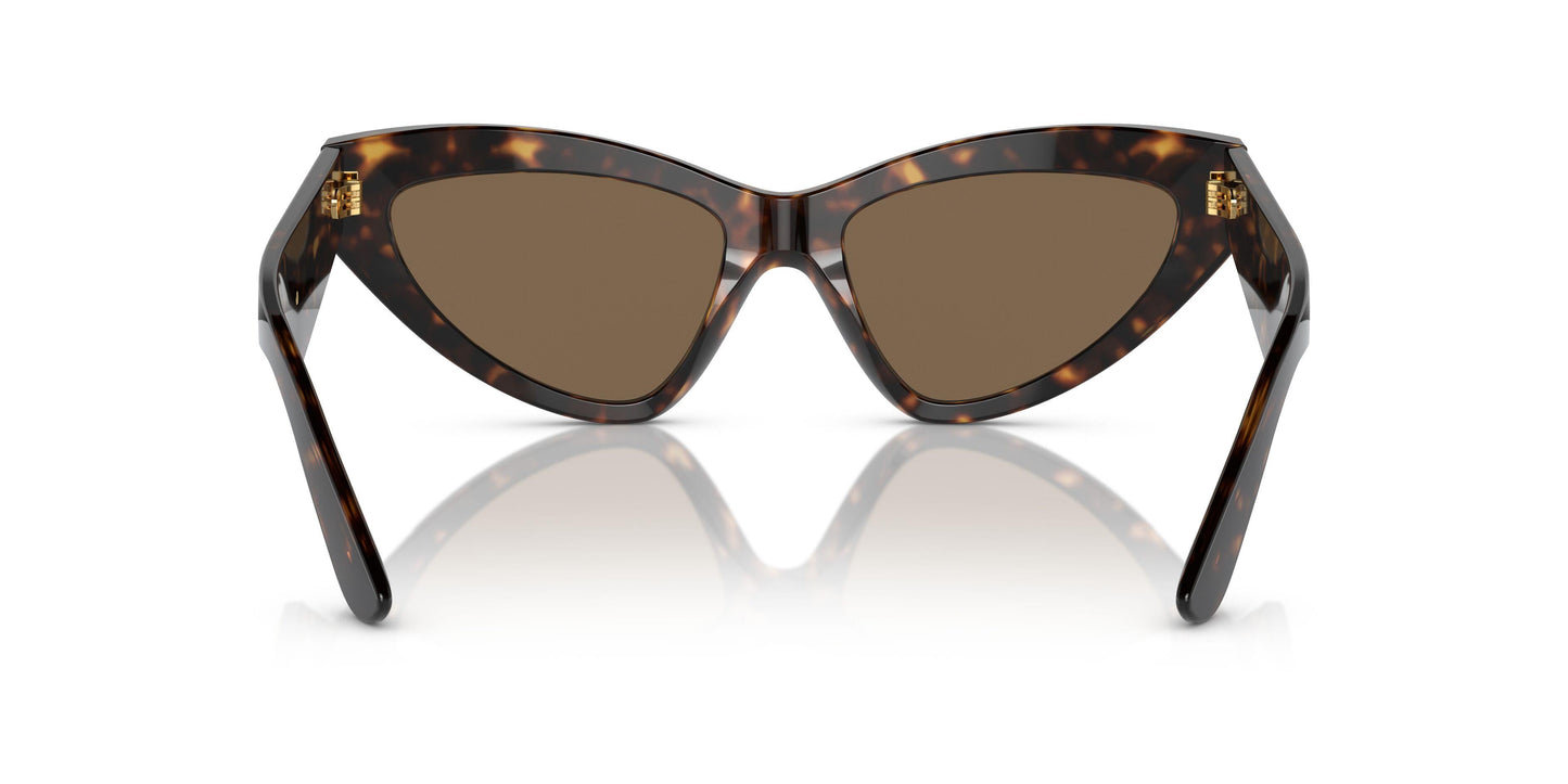 Dolse & Gabana  4439 Sunglasses