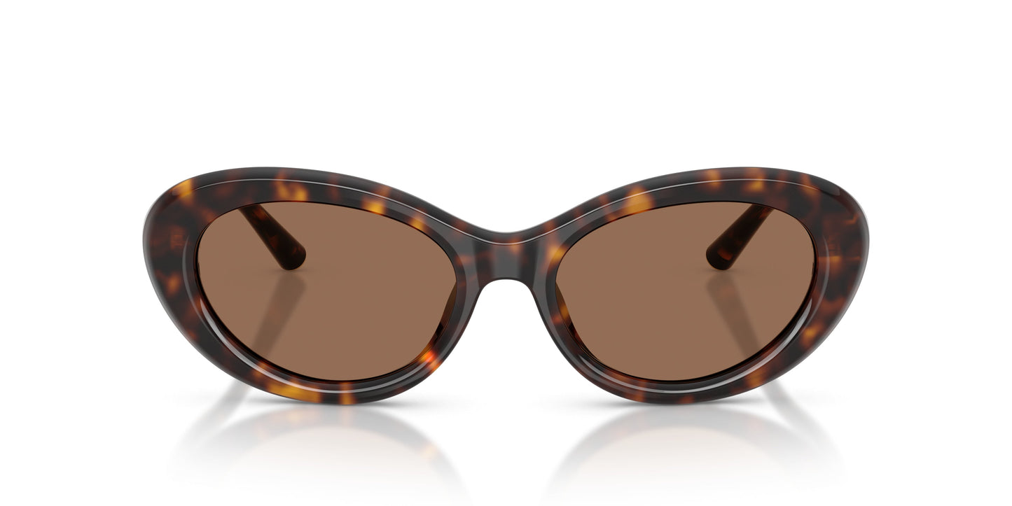 Dolse & Gabana  4519 Sunglasses