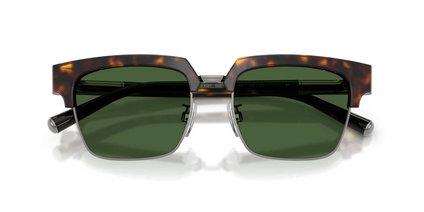 Dolse & Gabana  4522 Sunglasses