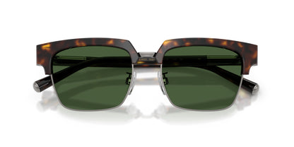Dolse & Gabana  4522 Sunglasses