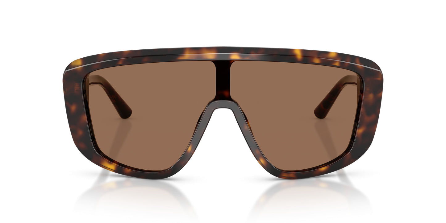 Dolse & Gabana  4520 Sunglasses