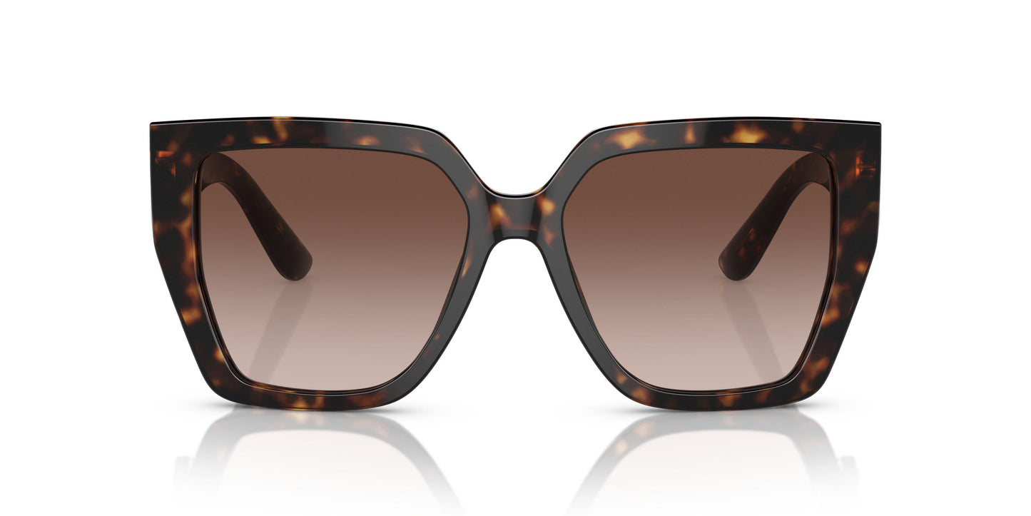 Dolse & Gabana  4438 Sunglasses