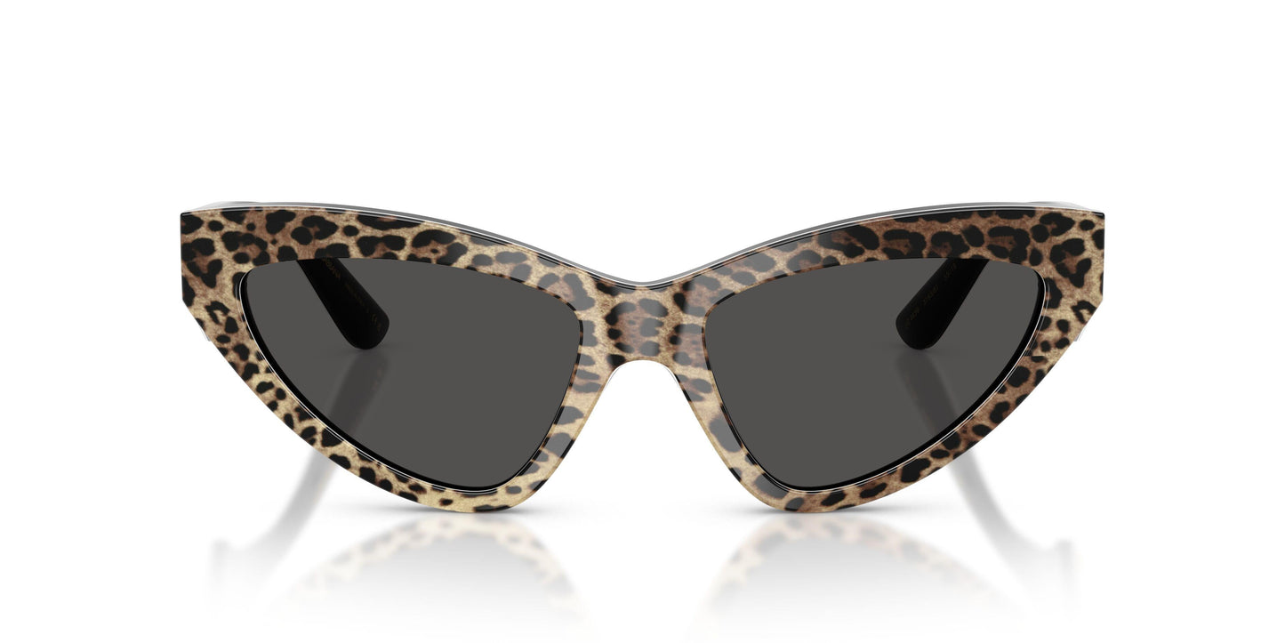 Dolse & Gabana  4439 Sunglasses