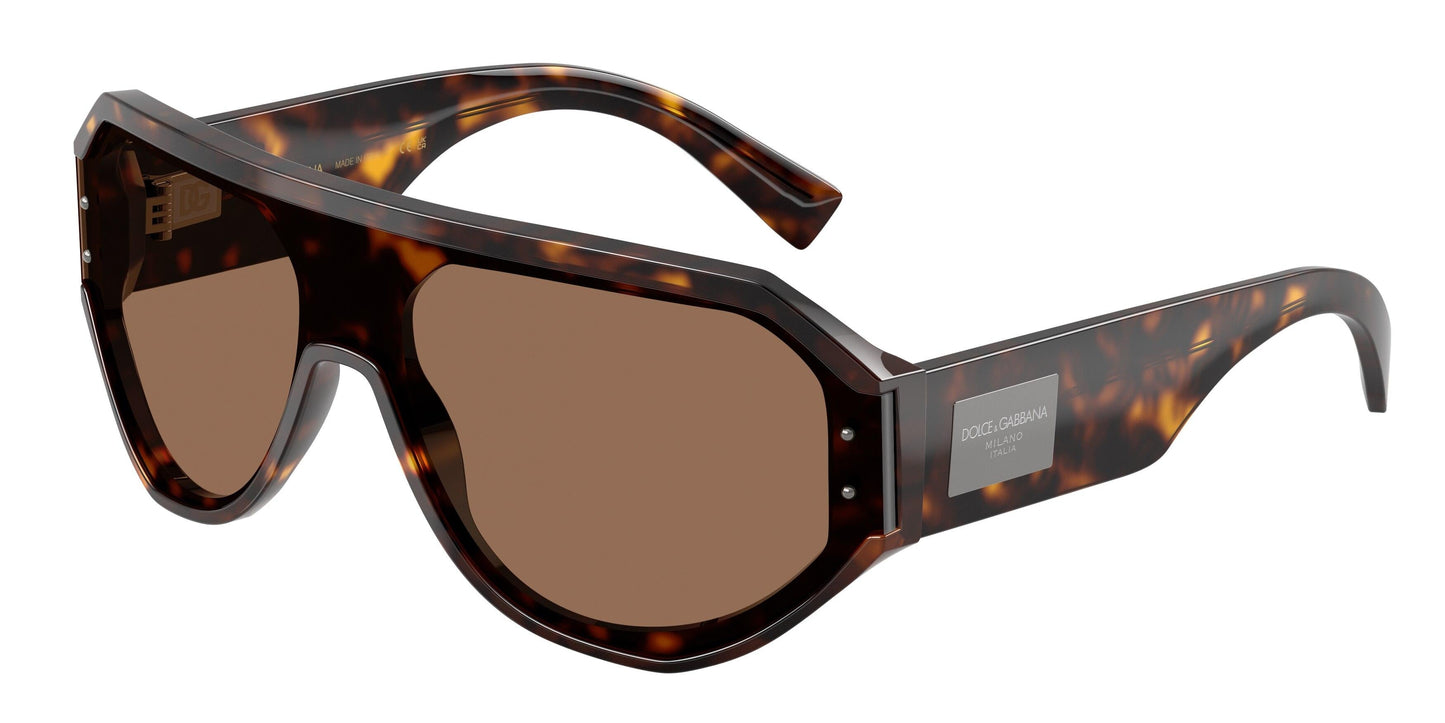 Dolse & Gabana  4481F Sunglasses