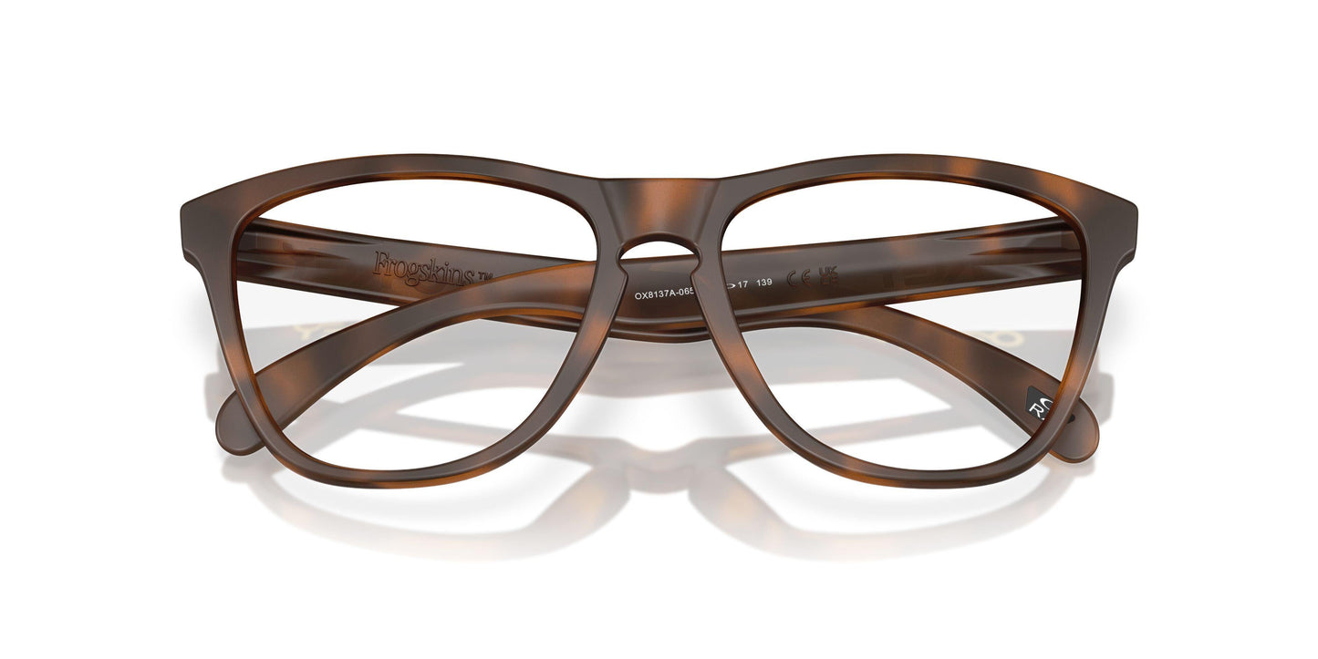 Oakley Frogskins Rx A 8137A Eyeglasses